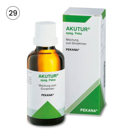 AKUTUR No: 29