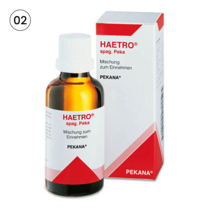 HAETRO No: 2